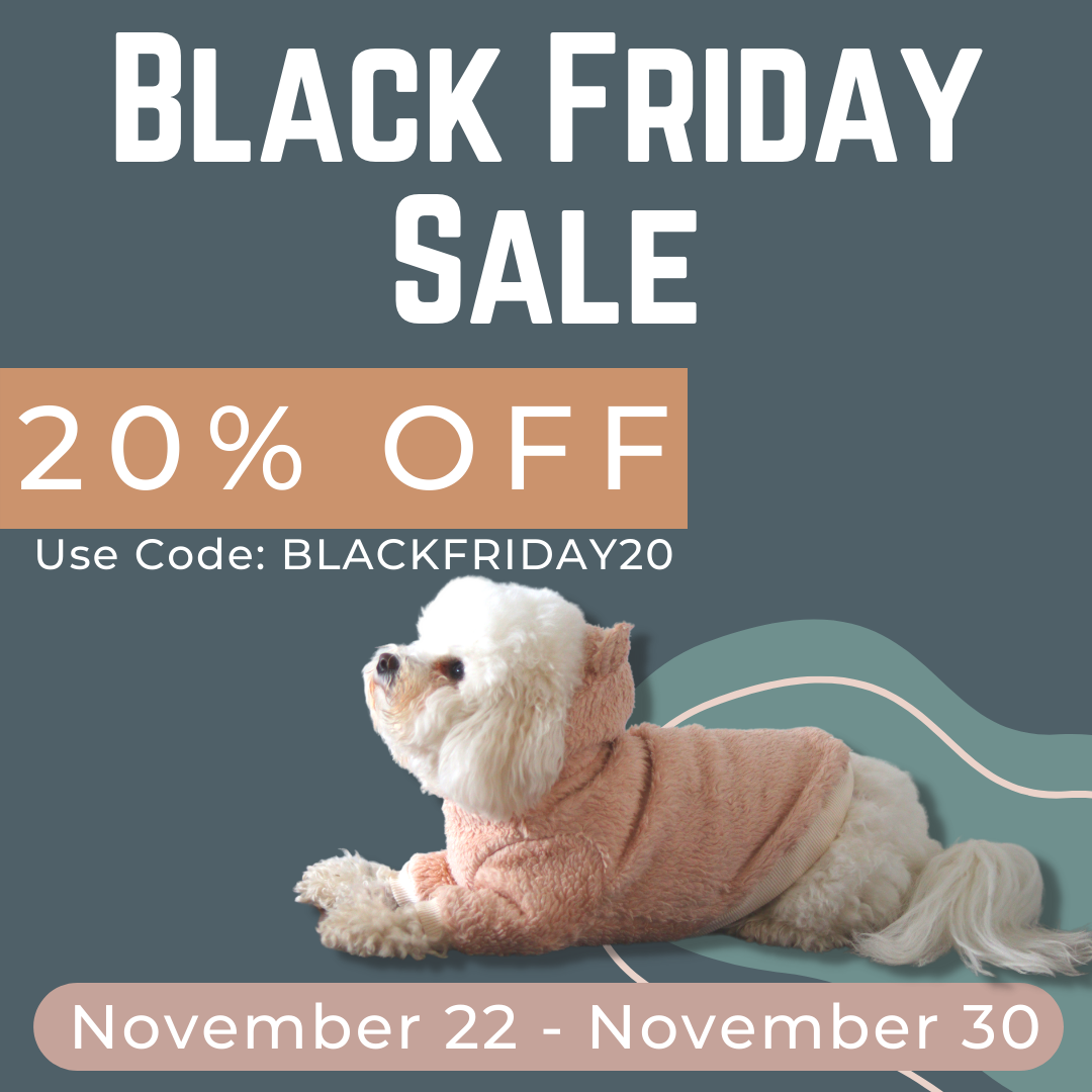 Deals and Specials - Black Friday November 2022