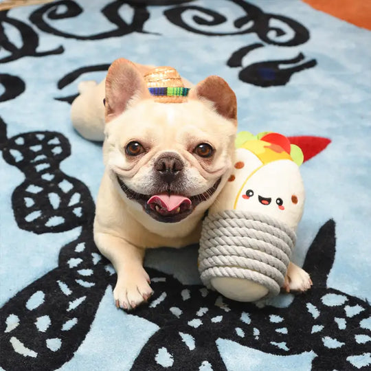 Hugsmart Pet - Fiesta Chewsday | Burrito