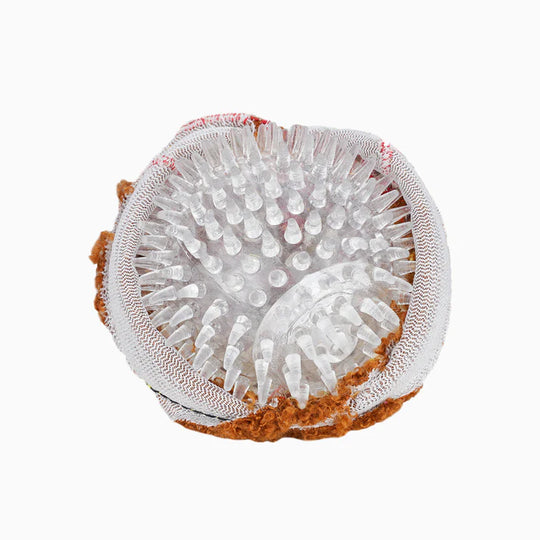 HugSmart Pet - Food Party – Spaghetti Meatball