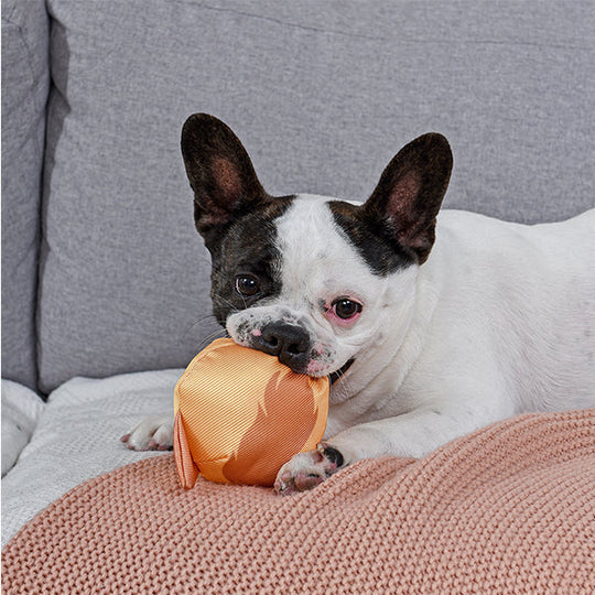 Hugsmart Pet - Tuff Ball - Hyena