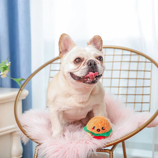 HugSmart Pet - Food Party – Hamburger