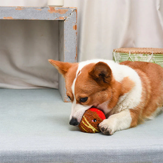 HugSmart Pet - Food Party – Spaghetti Meatball