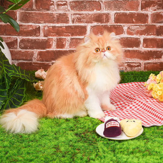 Hugsmart Pet - Kitten Party - Cheese & Wine