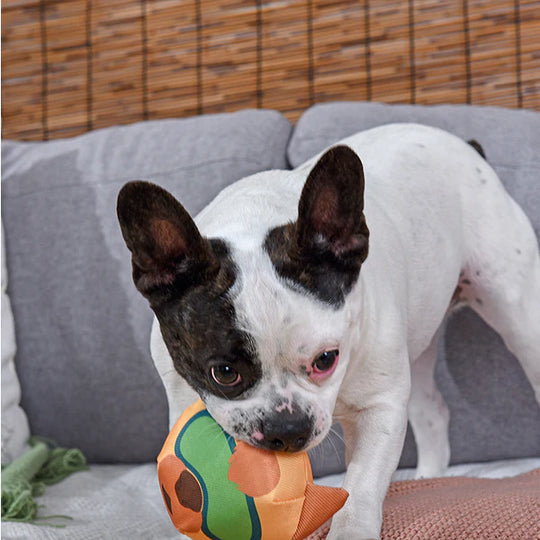 Hugsmart Pet - Tuff Ball - Hyena