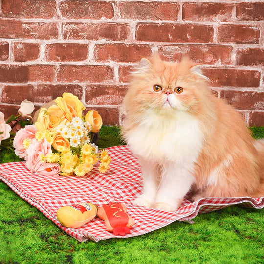 Hugsmart Pet - Kitten Party - Hot dog & Mustard