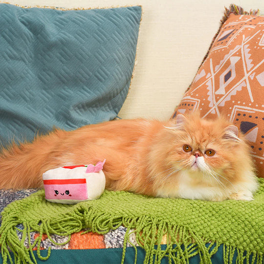 Hugsmart Pet - Kitten Party - Strawberry Cake