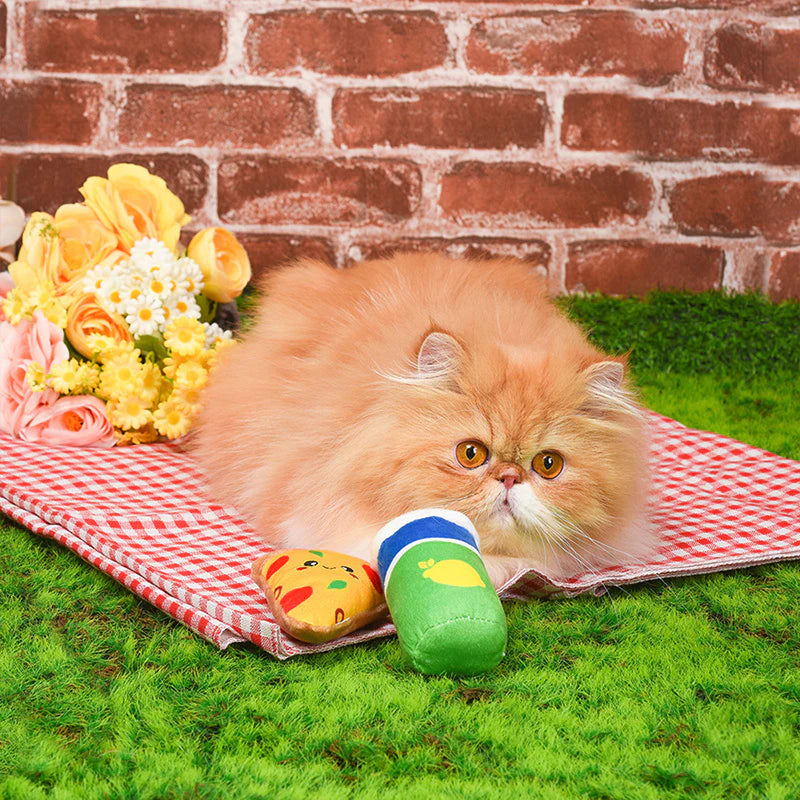 Hugsmart Pet - Kitten Party - Pizza & Soda