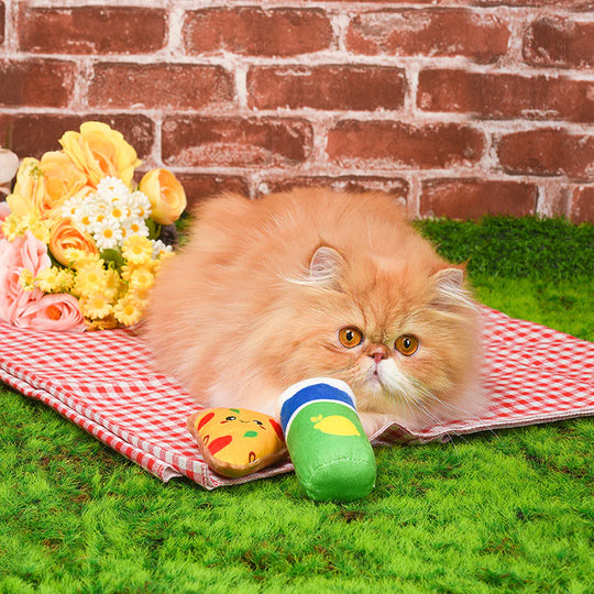 Hugsmart Pet - Kitten Party - Pizza & Soda