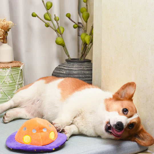 Hugsmart Pet - Space Paws  – Flip The UFO