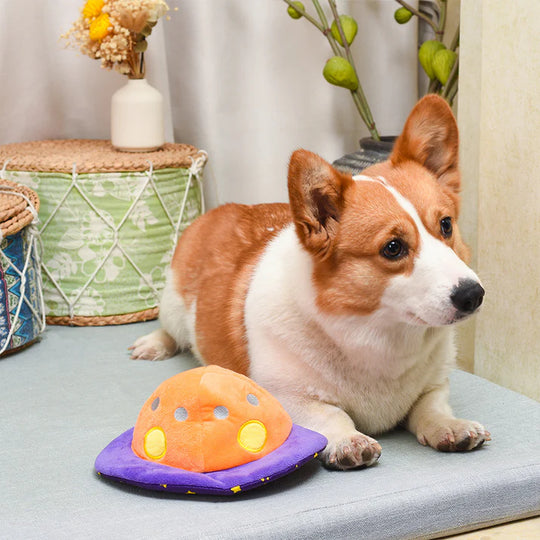 Hugsmart Pet - Space Paws  – Flip The UFO
