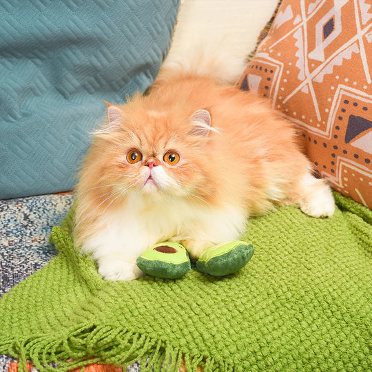 Hugsmart Pet - Crazy Catcher - Avocado Pack