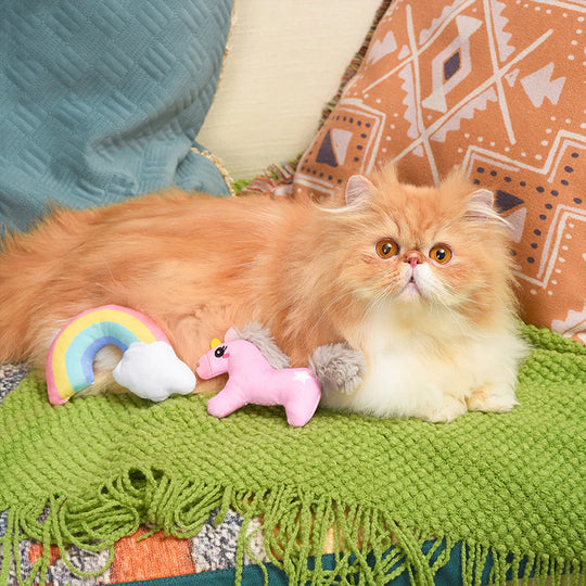Hugsmart Pet - Crazy Catcher - Unicorn & Rainbow