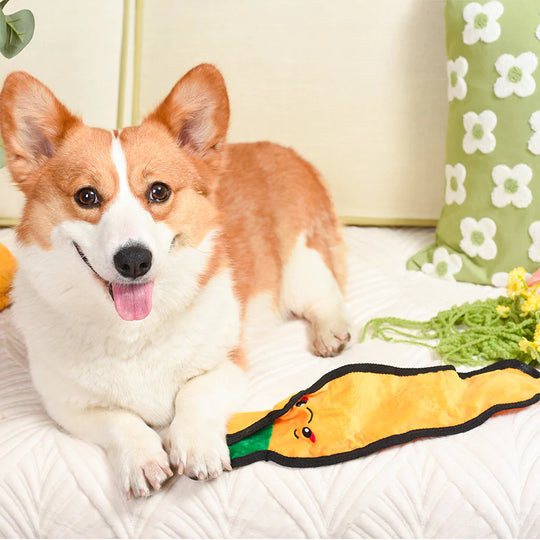 Hugsmart Pet - Squeakin' Vegetables - Carrot