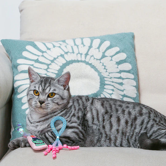Hugsmart Pet - Kitten Party - Wine Bottle