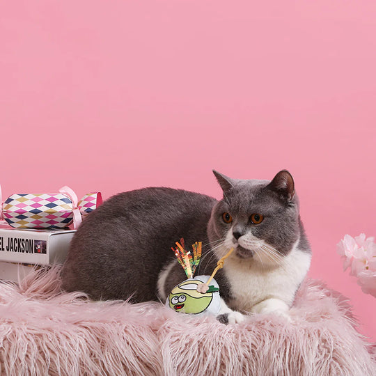 Hugsmart Pet - Crazy Catcher - Coconut Water