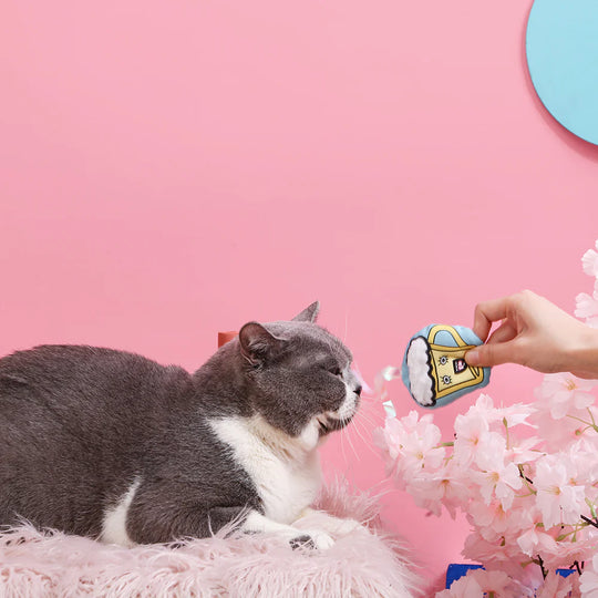 Hugsmart Pet - Crazy Catcher - Coconut Water