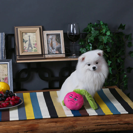 Hugsmart Pet - Feisty Veggie - Radish