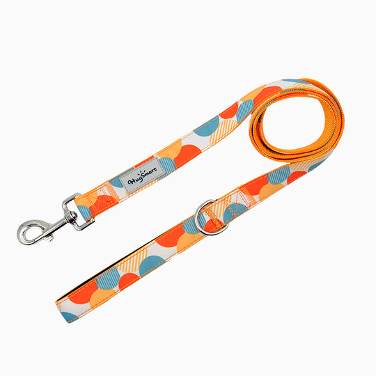 HugSmart Pet - Dog Leash – Dancing Dots