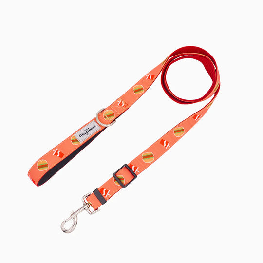 HugSmart Pet - Dog Leash – Foodie Time