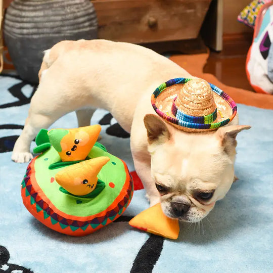 HugSmart Pet - Fiesta Chewsday | Nachos