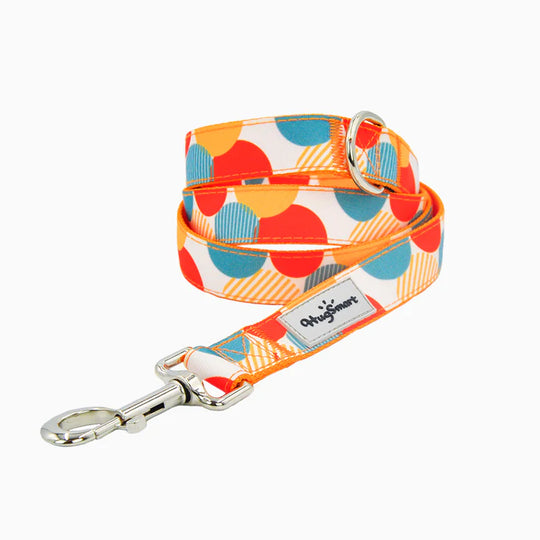 HugSmart Pet - Dog Leash – Dancing Dots