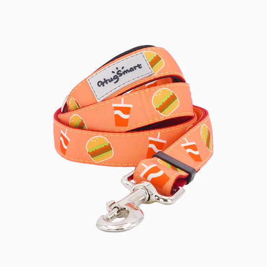 HugSmart Pet - Dog Leash – Foodie Time