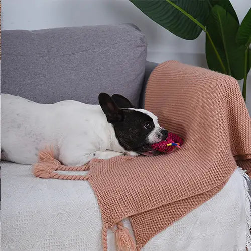 Hugsmart Pet - Woof Love | Rexy