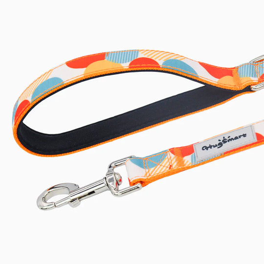 HugSmart Pet - Dog Leash – Dancing Dots