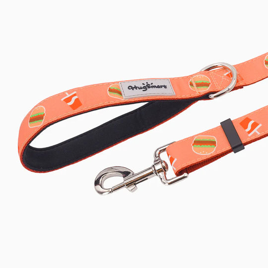 HugSmart Pet - Dog Leash – Foodie Time