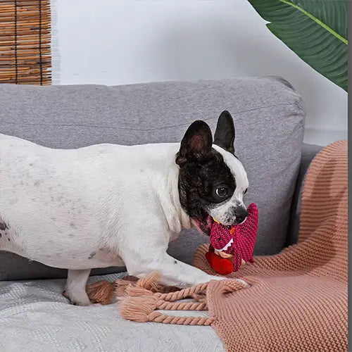 Hugsmart Pet - Woof Love | Rexy