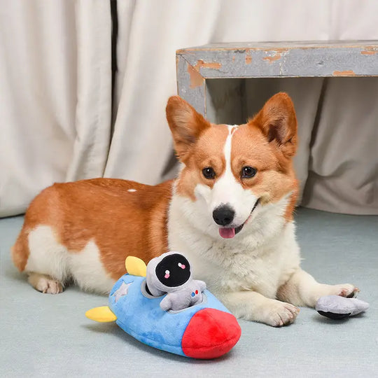 HugSmart Pet - Space Paws  Rocket