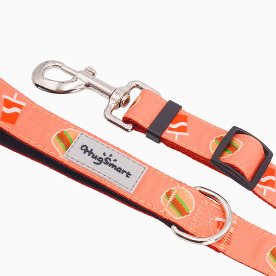 HugSmart Pet - Dog Leash – Foodie Time