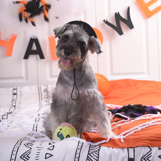 Hugsmart Pet - Howloween Night - Zombie