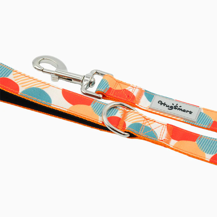 HugSmart Pet - Dog Leash – Dancing Dots