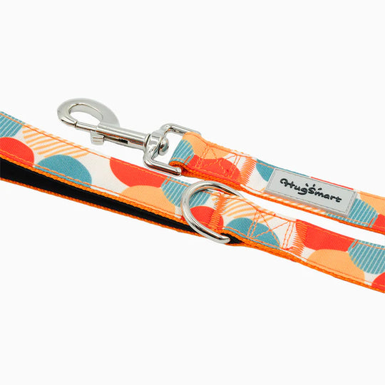 HugSmart Pet - Dog Leash – Dancing Dots