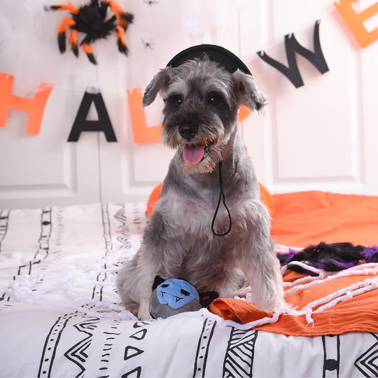Hugsmart Pet - Howloween Night - Vampire