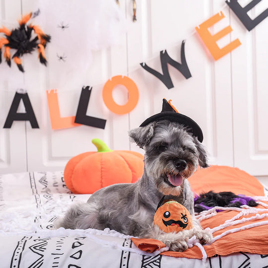 Hugsmart Pet - Howloween Night - Pumpkin