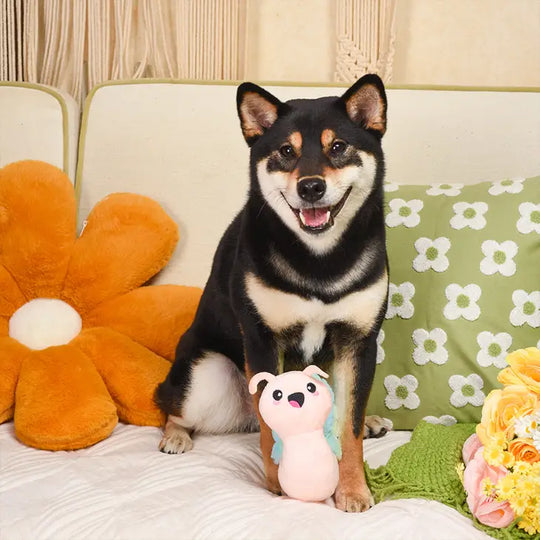 Hugsmart Pet - Puppy Garden | Snail
