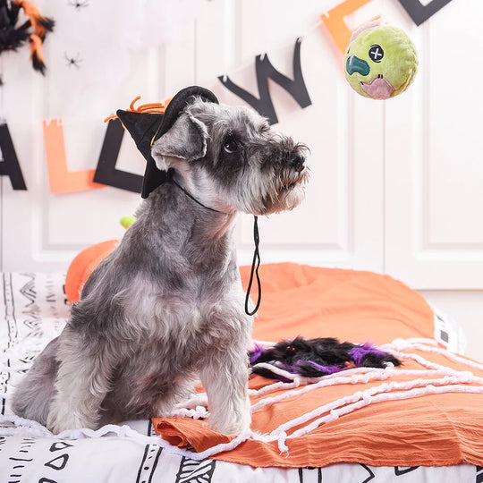 Hugsmart Pet - Howloween Night - Zombie