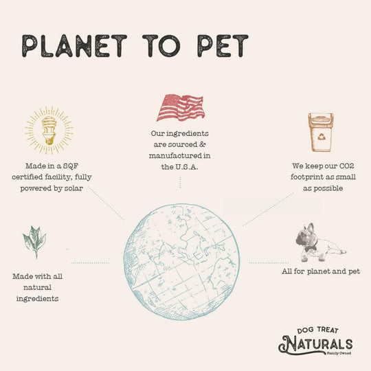 Dog Treat Naturals - Superfood Beef Pumpkin Sticks