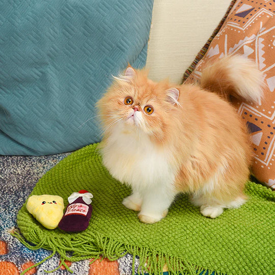 Hugsmart Pet - Kitten Party - Cheese & Wine
