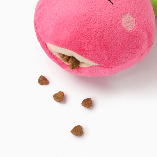 Hugsmart Pet - Feisty Veggie - Radish