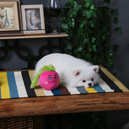 Hugsmart Pet - Feisty Veggie - Radish