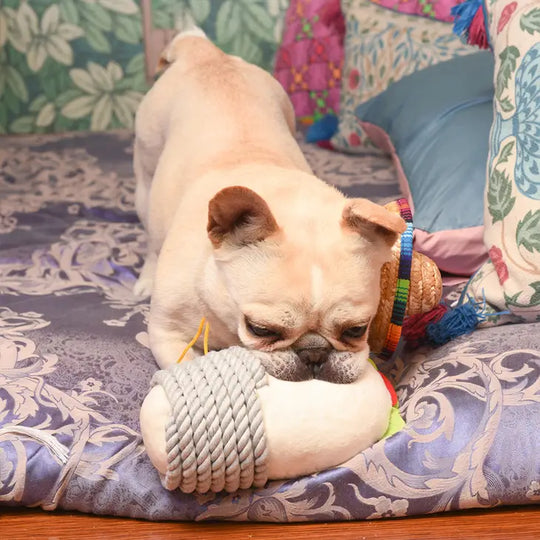 Hugsmart Pet - Fiesta Chewsday | Burrito