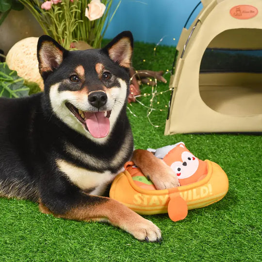 Hugsmart Pet - Camping Pups | Kayak