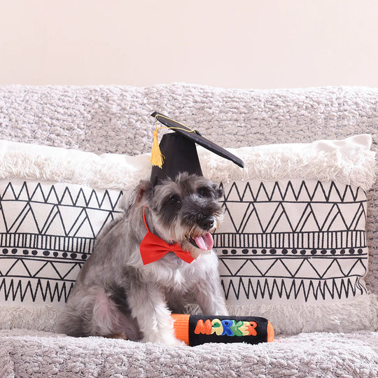 Hugsmart Pet - Pooch Academy - Marker Pen