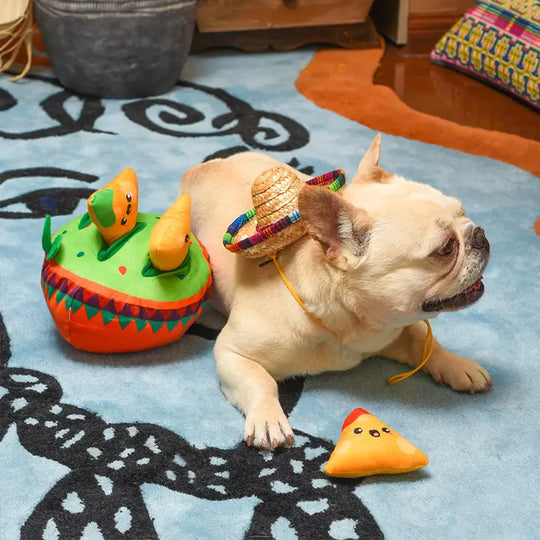 HugSmart Pet - Fiesta Chewsday | Nachos