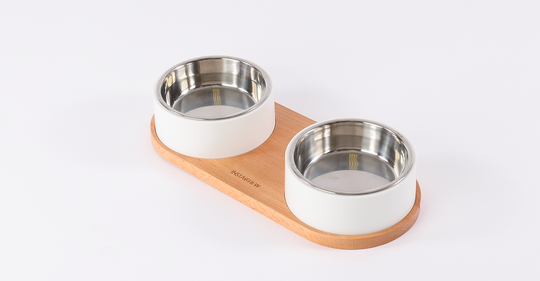 INSTACHEW - Puresteel Double Pet Bowl