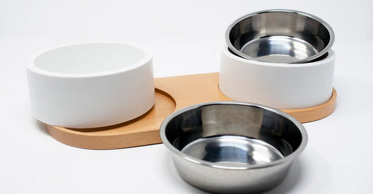 INSTACHEW - Puresteel Double Pet Bowl