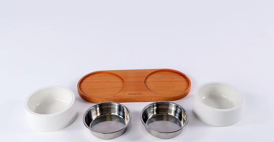 INSTACHEW - Puresteel Double Pet Bowl